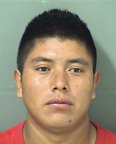  NERI BERISKES Results from Palm Beach County Florida for  NERI BERISKES