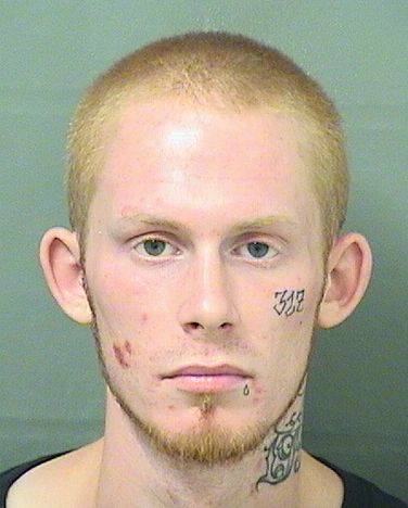  VINCENT L HAWK Results from Palm Beach County Florida for  VINCENT L HAWK