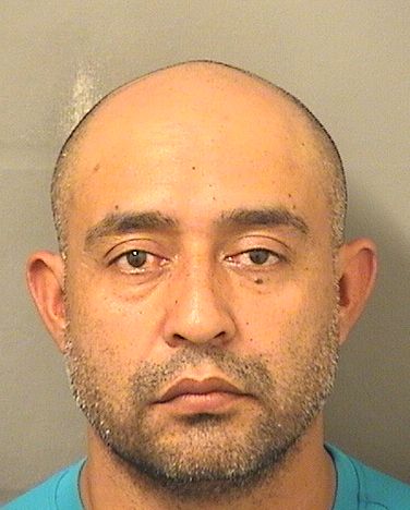  SAUL ARAIZA GONZALEZ Results from Palm Beach County Florida for  SAUL ARAIZA GONZALEZ