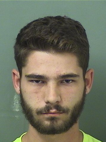  TYLERMICHAEL BROSNAN DAVIS Results from Palm Beach County Florida for  TYLERMICHAEL BROSNAN DAVIS