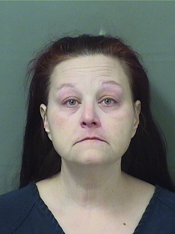  MICHELLE LYN HOWARD Results from Palm Beach County Florida for  MICHELLE LYN HOWARD