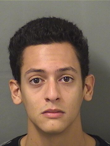  ALEJANDRO MANUEL ORTIZ Results from Palm Beach County Florida for  ALEJANDRO MANUEL ORTIZ