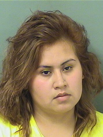  BRIANNA M LOPEZ Results from Palm Beach County Florida for  BRIANNA M LOPEZ