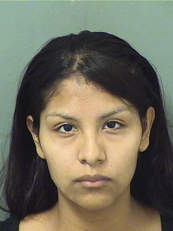  GUADALUPE C MONDRAGON Results from Palm Beach County Florida for  GUADALUPE C MONDRAGON