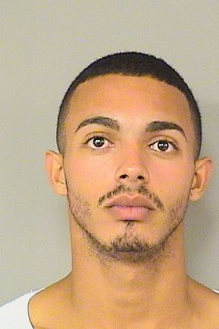  ERNESTO RODRIGUEZ Results from Palm Beach County Florida for  ERNESTO RODRIGUEZ