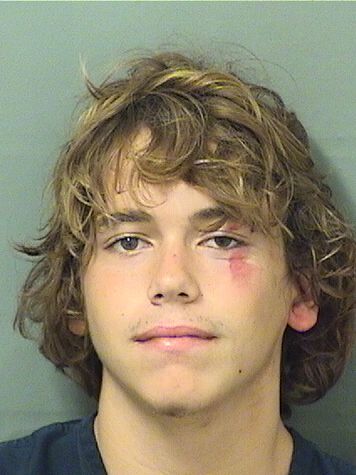  GAVIN PRINCE ANAYA Results from Palm Beach County Florida for  GAVIN PRINCE ANAYA