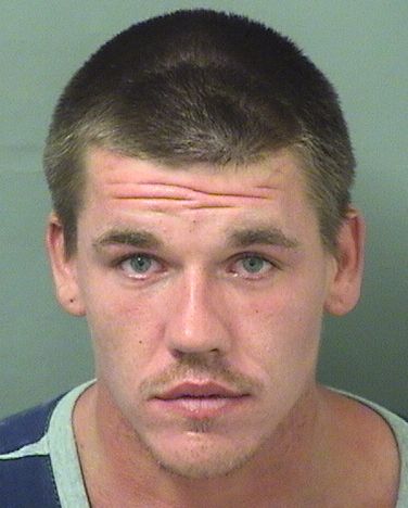  JOSEPH TERRY WISE Results from Palm Beach County Florida for  JOSEPH TERRY WISE