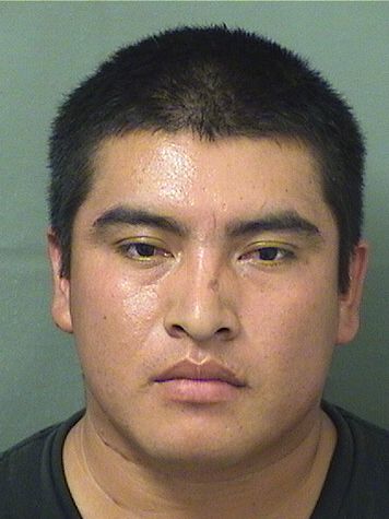 ANGEL MARCELINO VASQUEZPAR Results from Palm Beach County Florida for ANGEL MARCELINO VASQUEZPAR ANGEL MARCELINO VASQUEZPAR Results from Palm Beach County Florida for ANGEL MARCELINO VASQUEZPAR