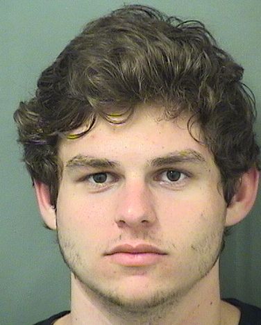  BENJAMIN MICHAEL DIGNOTI Results from Palm Beach County Florida for  BENJAMIN MICHAEL DIGNOTI