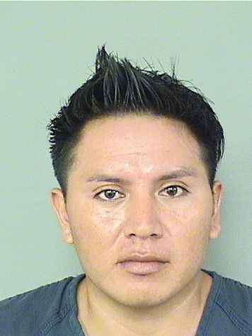  ALONZO ANDRES ESTEBAN Results from Palm Beach County Florida for  ALONZO ANDRES ESTEBAN