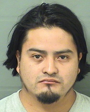  ERICK SABASTIAN GUTIERREZ Results from Palm Beach County Florida for  ERICK SABASTIAN GUTIERREZ