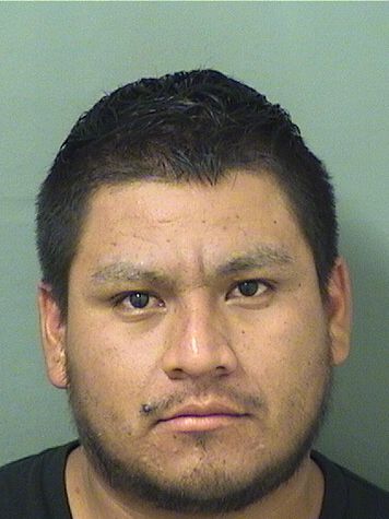  JESUS MORALES MORENO Results from Palm Beach County Florida for  JESUS MORALES MORENO