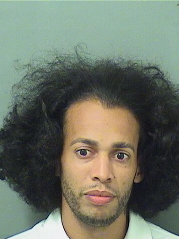  CHRISTIAN FELIX DEJESUS Results from Palm Beach County Florida for  CHRISTIAN FELIX DEJESUS
