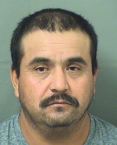  ELMER OSIEL GRANADOSESCOBEDO Results from Palm Beach County Florida for  ELMER OSIEL GRANADOSESCOBEDO