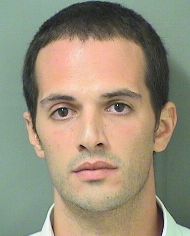  MICHAEL ANGELO LEONE Results from Palm Beach County Florida for  MICHAEL ANGELO LEONE