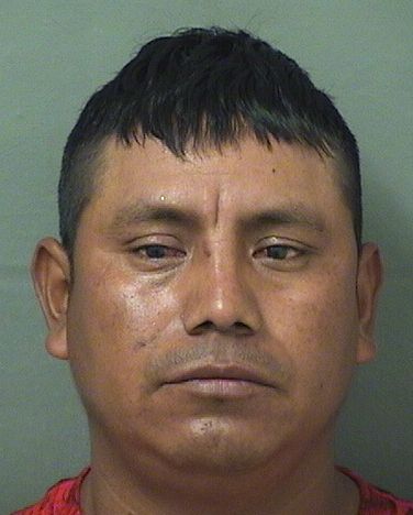  SEBASTIAN ORDONEZFELIPE Photo For  SEBASTIAN ORDONEZFELIPE