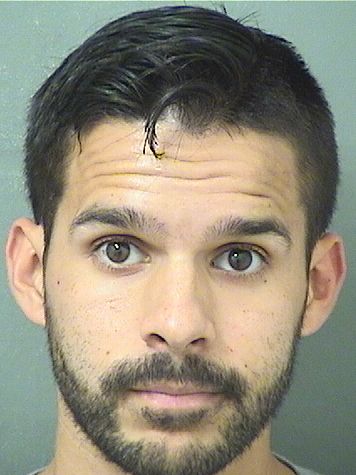  KYLE LAMB PATEL Results from Palm Beach County Florida for  KYLE LAMB PATEL
