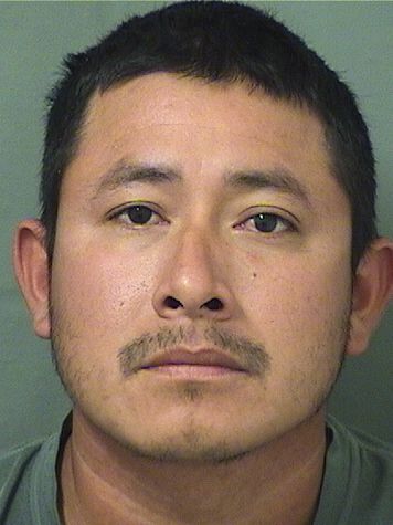  DAVID HENRYOSVELY ROSDELGADO Resultados de la busqueda para Palm Beach County Florida para  DAVID HENRYOSVELY ROSDELGADO