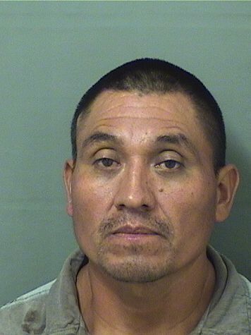  MANUEL P CAMPOSECO Resultados de la busqueda para Palm Beach County Florida para  MANUEL P CAMPOSECO