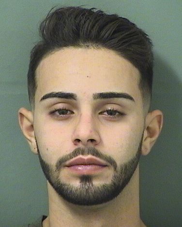  ELLIOTT R BARUCH Results from Palm Beach County Florida for  ELLIOTT R BARUCH