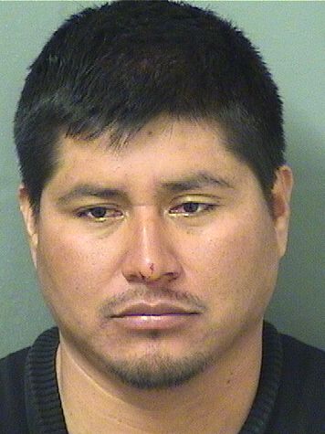  ELIAS DAVID HERNANDEZMORALES Resultados de la busqueda para Palm Beach County Florida para  ELIAS DAVID HERNANDEZMORALES