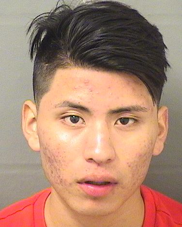  EDWIN I PEREZ Results from Palm Beach County Florida for  EDWIN I PEREZ