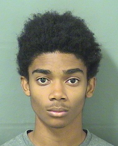  NICHOLAS MAXWELL ATKINSON Results from Palm Beach County Florida for  NICHOLAS MAXWELL ATKINSON