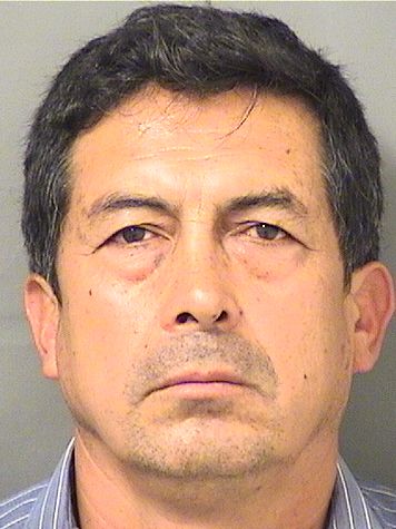  GUILLERMO PUGACASTRO Results from Palm Beach County Florida for  GUILLERMO PUGACASTRO