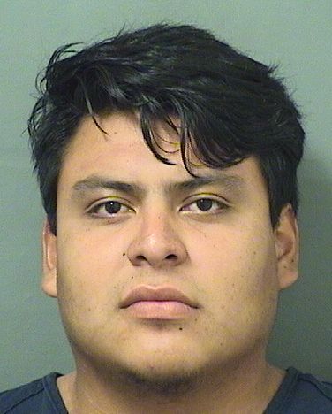 FERNANDO LOPEZCORDERO Results from Palm Beach County Florida for FERNANDO LOPEZCORDERO FERNANDO LOPEZCORDERO Results from Palm Beach County Florida for FERNANDO LOPEZCORDERO