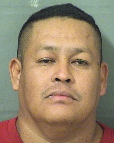 RAMON JULIAN FIGUEROA Results from Palm Beach County Florida for RAMON JULIAN FIGUEROA RAMON JULIAN FIGUEROA Results from Palm Beach County Florida for RAMON JULIAN FIGUEROA