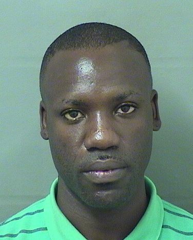  LERON JULIAN BEDWARD Results from Palm Beach County Florida for  LERON JULIAN BEDWARD