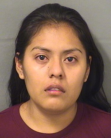  ENEYDA CARRILLO Results from Palm Beach County Florida for  ENEYDA CARRILLO