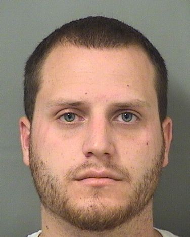  MICHAEL JOHN DRACH Results from Palm Beach County Florida for  MICHAEL JOHN DRACH