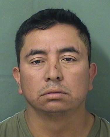 SERGIO GOMEZVAZQUEZ Results from Palm Beach County Florida for SERGIO GOMEZVAZQUEZ SERGIO GOMEZVAZQUEZ Results from Palm Beach County Florida for SERGIO GOMEZVAZQUEZ