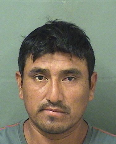ERMENIO PEREZMAZARIEGOS resultados de la busqueda para Palm Beach County Florida para ERMENIO PEREZMAZARIEGOS ERMENIO PEREZMAZARIEGOS Resultados de la busqueda para Palm Beach County Florida para ERMENIO PEREZMAZARIEGOS