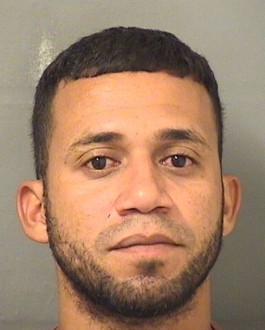  EFRAIN E MARTINEZALMENDAREZ Results from Palm Beach County Florida for  EFRAIN E MARTINEZALMENDAREZ