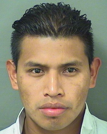  CELSO HERNANDEZ MENDEZ Results from Palm Beach County Florida for  CELSO HERNANDEZ MENDEZ