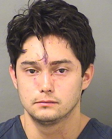  ALISSON G FERNANDES Resultados de la busqueda para Palm Beach County Florida para  ALISSON G FERNANDES