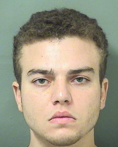  ALEX SAMUEL RAMOS Results from Palm Beach County Florida for  ALEX SAMUEL RAMOS