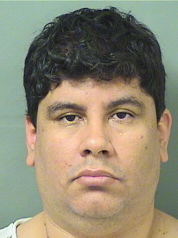  STEPHEN JOSE BORGE Results from Palm Beach County Florida for  STEPHEN JOSE BORGE
