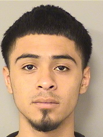  KEVIN TORIBIO Photo For  KEVIN TORIBIO