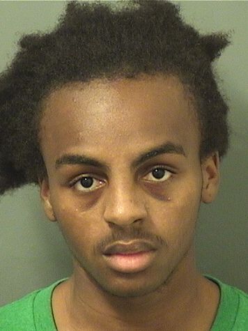  DARNELL R MATTHEWS Results from Palm Beach County Florida for  DARNELL R MATTHEWS