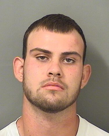  NICHOLAS V ALEMAN Results from Palm Beach County Florida for  NICHOLAS V ALEMAN