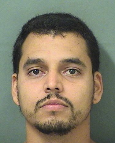  JUAN P PEREZMONTES Results from Palm Beach County Florida for  JUAN P PEREZMONTES