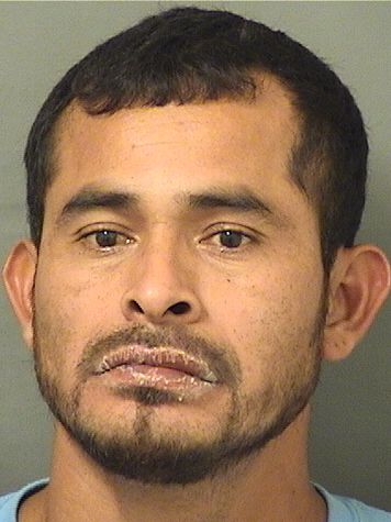  ERVIN ROBLERO Results from Palm Beach County Florida for  ERVIN ROBLERO