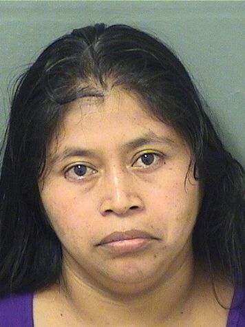  OLGA MALDONADOGONZALEZ Results from Palm Beach County Florida for  OLGA MALDONADOGONZALEZ