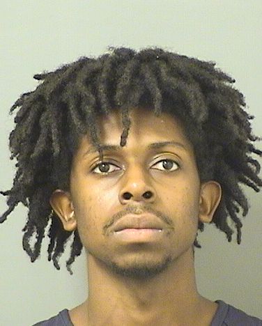  MICHAEL JUNIOR JEAN Results from Palm Beach County Florida for  MICHAEL JUNIOR JEAN