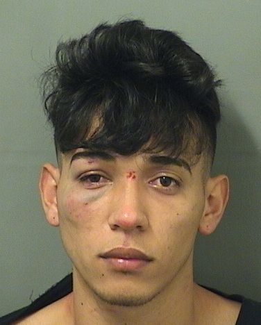  JOSE ZAYALA Results from Palm Beach County Florida for  JOSE ZAYALA