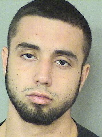 DOMENICO A OPIELA Results from Palm Beach County Florida for DOMENICO A OPIELA DOMENICO A OPIELA Results from Palm Beach County Florida for DOMENICO A OPIELA