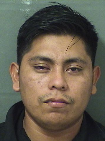  DIEGO CALAN Resultados de la busqueda para Palm Beach County Florida para  DIEGO CALAN